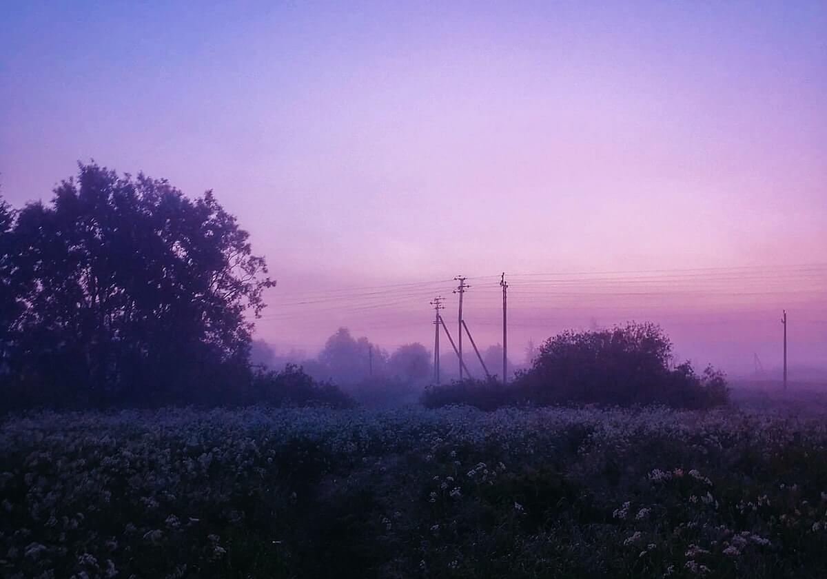 主持人在午后时刻遭遇mogutv 欲罢不能，蘑菇影视在线观看全网炸锅，详情了解