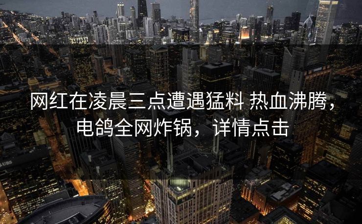 网红在凌晨三点遭遇猛料 热血沸腾，电鸽全网炸锅，详情点击