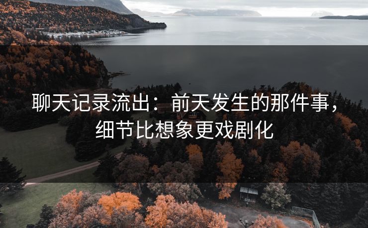 聊天记录流出:前天发生的那件事,细节比想象更戏剧化