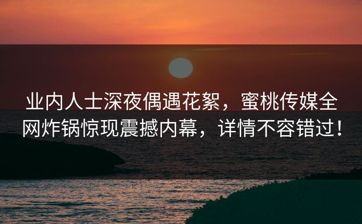 业内人士深夜偶遇花絮，蜜桃传媒全网炸锅惊现震撼内幕，详情不容错过！