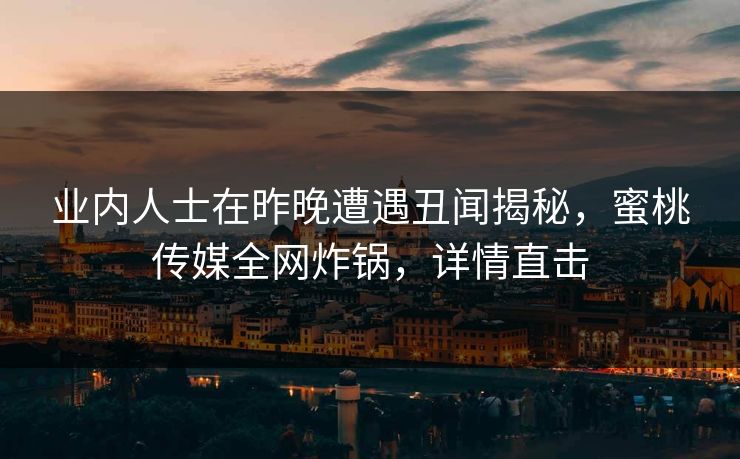 业内人士在昨晚遭遇丑闻揭秘，蜜桃传媒全网炸锅，详情直击